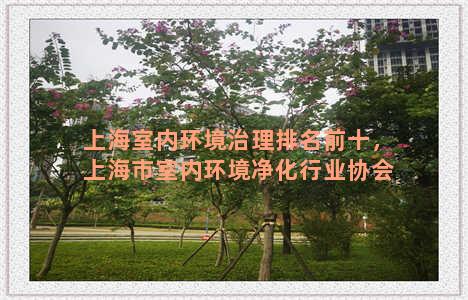 上海室内环境治理排名前十，上海市室内环境净化行业协会