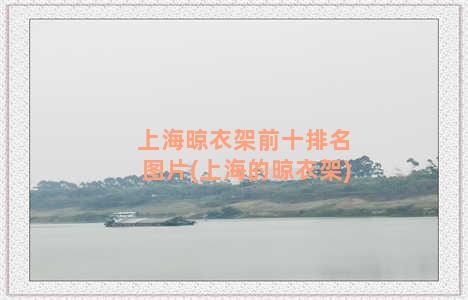 上海晾衣架前十排名图片(上海的晾衣架)