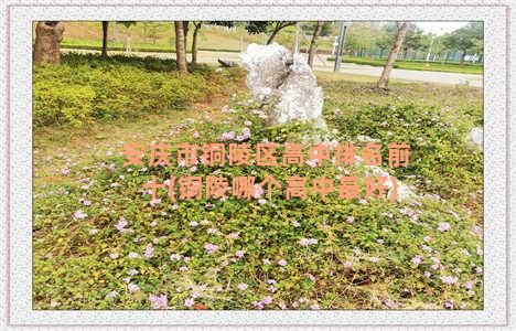 安庆市铜陵区高中排名前十(铜陵哪个高中最好)