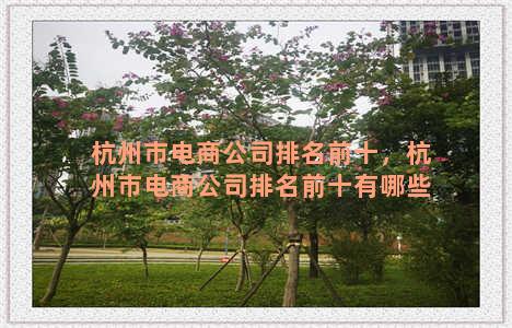 杭州市电商公司排名前十，杭州市电商公司排名前十有哪些