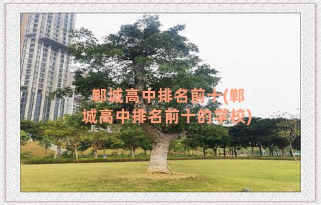 郸城高中排名前十(郸城高中排名前十的学校)